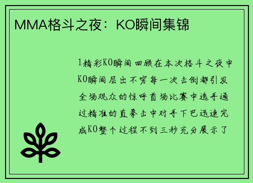 MMA格斗之夜：KO瞬间集锦